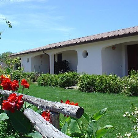 Agriturismo Mulinu Betzu San Vero Milis Exteriör bild